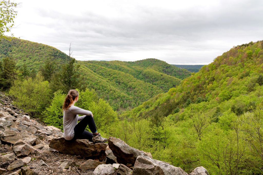 Valley Vistas